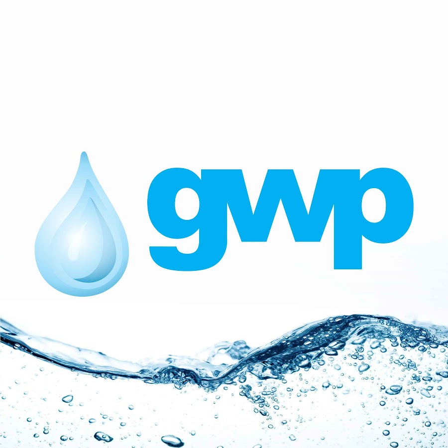 Georgian Water and Power